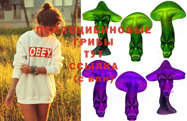 прущие крисы Киреевск