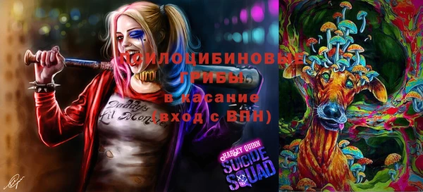 мяу мяу мука Кинешма