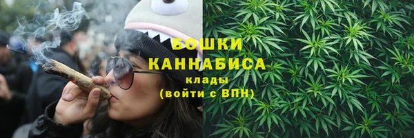 спиды Касимов