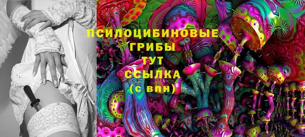 скорость Карталы